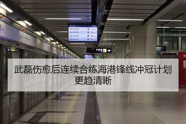 武磊伤愈后连续合练海港锋线冲冠计划更趋清晰